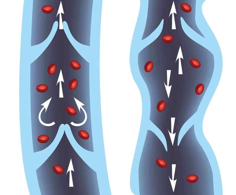 Blood cell flow in veins with directional arrows diagram